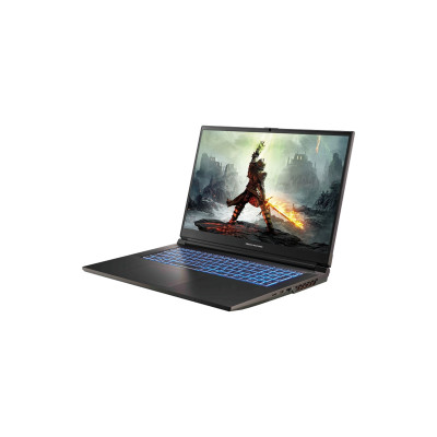 Ноутбук Dream Machines RG4070-17 (RG4070-17UA35)