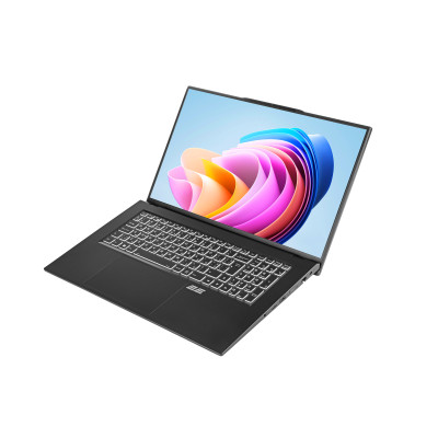 Ноутбук 2E Complex Pro 17 (NS70PU-17UA32)