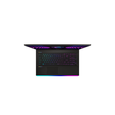 Ноутбук MSI GE77 Raider (GE77HX12UHS-218UA)