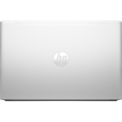 Ноутбук HP ProBook 455 G10 (719G1AV_V1)