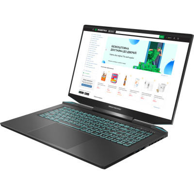 Ноутбук Dream Machines RG4050-17 (RG4050-17UA20) Ноутбук Dream Machines RG4050-17 (RG4050-17UA20)