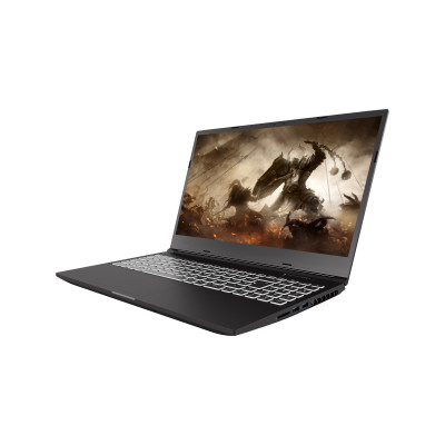 Ноутбук Dream Machines RT3050-15 (RT3050-15UA31) Ноутбук Dream Machines RT3050-15 (RT3050-15UA31)