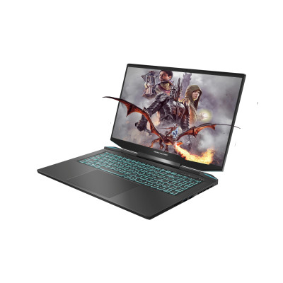 Ноутбук Dream Machines RG4050-17 (RG4050-17UA28) Ноутбук Dream Machines RG4050-17 (RG4050-17UA28)