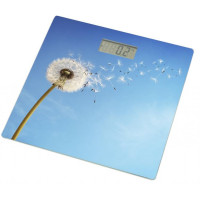 Весы напольные Grunhelm BES-BLB Весы напольные Grunhelm BES-BLB