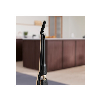 Пылесос Electrolux WQ71-P52SS