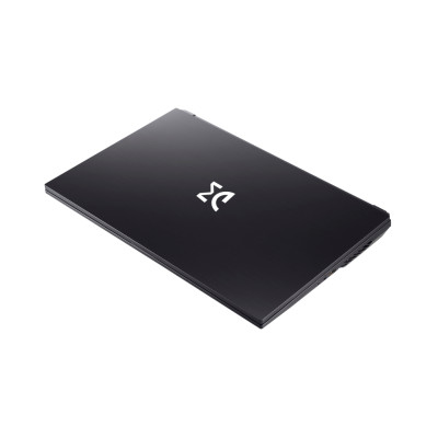 Ноутбук Dream Machines RT3070-17 (RT3070-17UA28) Ноутбук Dream Machines RT3070-17 (RT3070-17UA28)