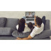 Ноутбук Acer Aspire 3 A315-24P (NX.KDEEU.00Q)