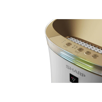 Очисник повітря Sharp UA-PG50E-W Очисник повітря Sharp UA-PG50E-W
