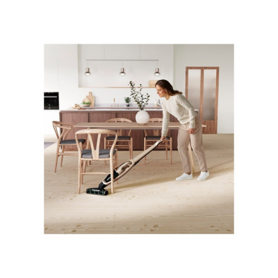 Пылесос Electrolux WQ71-P52SS