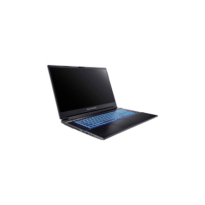 Ноутбук Dream Machines RG3050-17 (RG3050-17UA55) Ноутбук Dream Machines RG3050-17 (RG3050-17UA55)