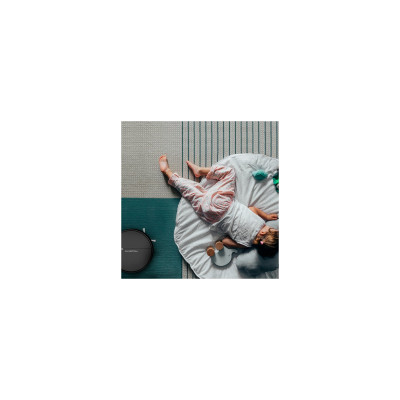 Пылесос Rowenta RR7455WH