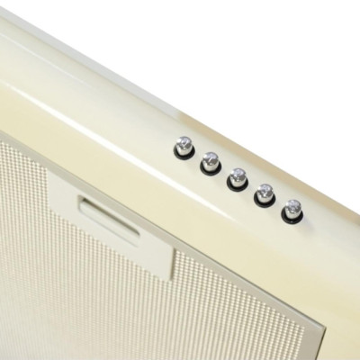 Витяжка кухонна Eleyus Line I 60 BG