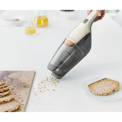 Пылесос Electrolux EERC73SW