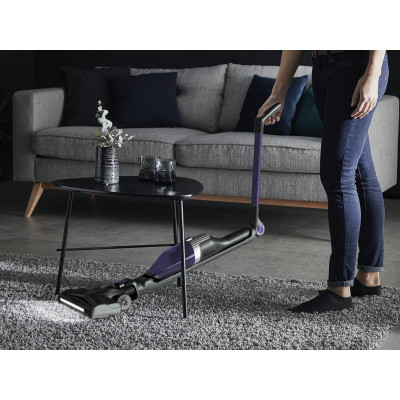 Пылесос Rowenta RH1238WO Пылесос Rowenta RH1238WO