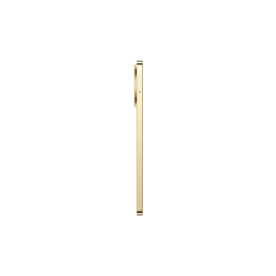 Мобильный телефон realme 11 4G 8/256GB Gold