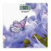 Весы напольные Scarlett SC-BS33E072