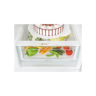 Холодильник Candy CCE4T618EWU Холодильник Candy CCE4T618EWU