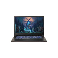 Ноутбук Dream Machines RG4060-17 (RG4060-17UA36) Ноутбук Dream Machines RG4060-17 (RG4060-17UA36)