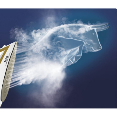 Утюг Tefal FV5698E0 Утюг Tefal FV5698E0