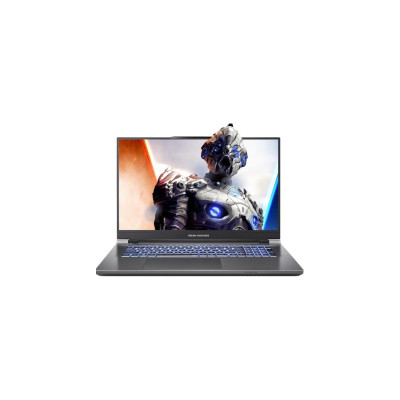 Ноутбук Dream Machines RX770M-17 (RX770M-17UA20)