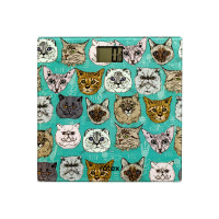 Ваги підлогові Rotex RSB09-P