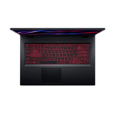 Ноутбук Acer Nitro 5 AN517-42 (NH.QG9EU.005)