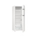 Холодильник Gorenje R615FEW5 Холодильник Gorenje R615FEW5
