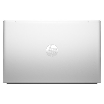 Ноутбук HP ProBook 455 G10 (719F9AV_V4)