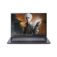 Ноутбук Dream Machines RT3060-17 (RT3060-17UA40) Ноутбук Dream Machines RT3060-17 (RT3060-17UA40)