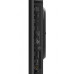 Телевізор TCL 65C815