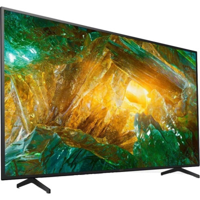 Телевізор Sony KD49XH8096BR